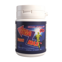 [1+1]기가맥스 20정+20정